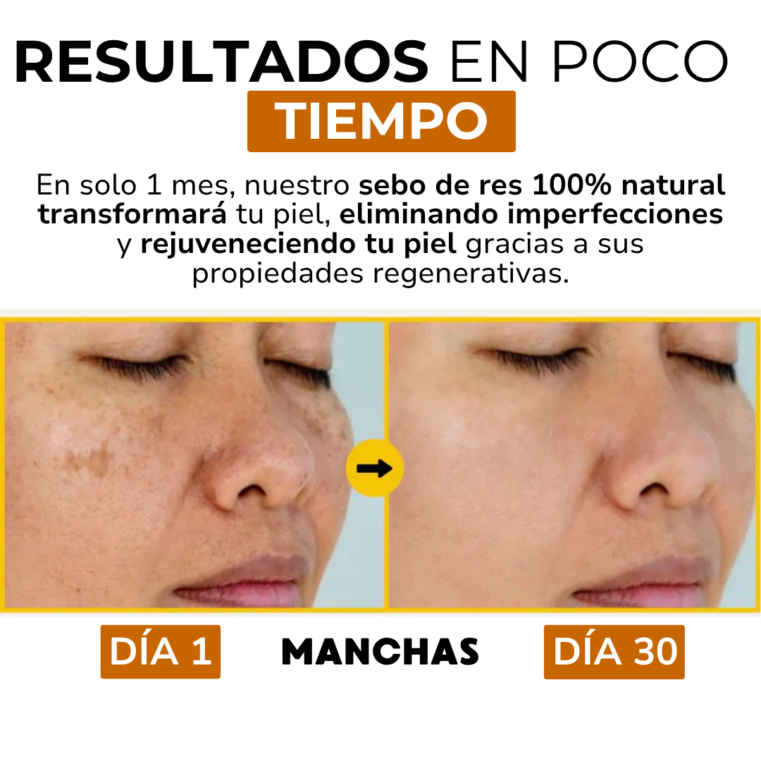 Sebo de Res