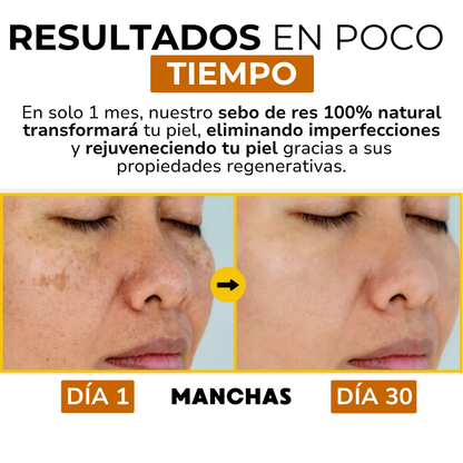 Sebo de Res